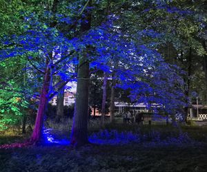 Olsztyn zamienił się w magiczną krainę. Park Świateł przyciągnął tłumy!