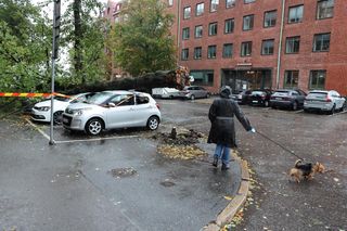 Sztorm Amy w Europie