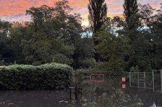 Obraz rozpaczy w Mysłowicach