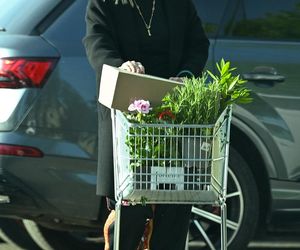 Grażyna Szapołowska sadzi się na wiosnę