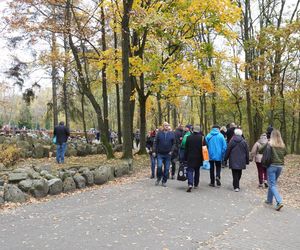 Tłumy na cmentarzu na Miłostowie