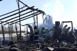 Potężny pożar w Szydłowie! 71-letnia kobieta poparzona! 200 tysięcy złotych strat!