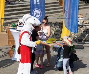 Centrum Bajki Koziołka Matołka w Pacanowie