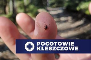 Testujemy zestawy antykleszczowe. Zgłoś się do testu