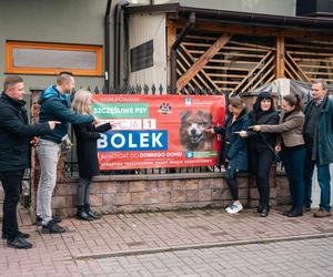 Włochaci kandydaci na banerach wyborczych. Psy i koty z częstochowskiego schroniska liczą na nowy dom 