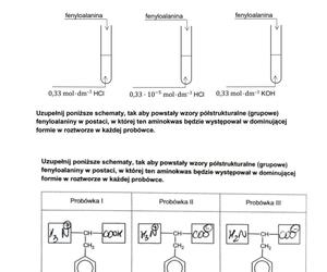 Matura 2024 chemia rozszerzona - arkusze CKE i sugerowane odpowiedzi - formuła 2015