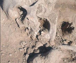 Niezwykłe znalezisko w Orłach. 