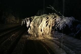 Barbara zniszczyła Polskę