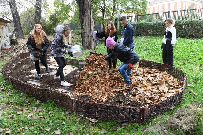 Studenci Politechniki Krakowskiej zbudowali pierwsze „glebarium”