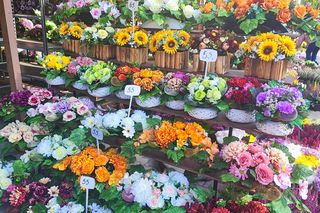 Ile kosztują znicze i kwiaty we Wrocławiu? Sprawdziliśmy ceny przy cmentarzach i w sklepach