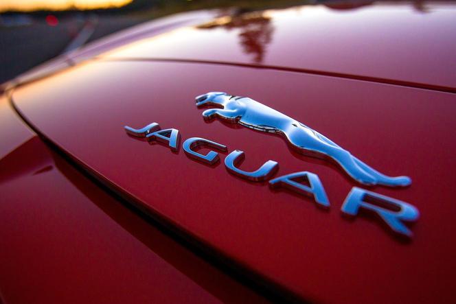 Jaguar, znaczek Jaguar, fabryka