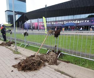 Rolnicy protestowali w Katowicach na Europejskim Kongresem Gospodarczym