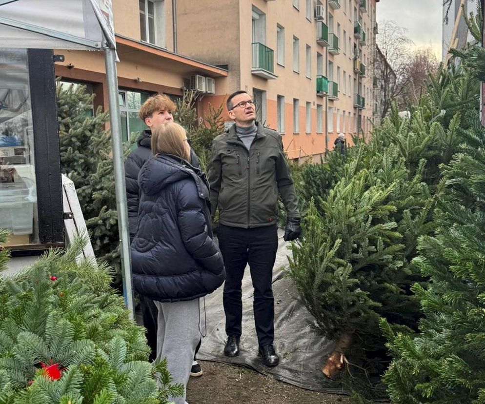 Mateusz Morawiecki wybiera choinkę na bazarze