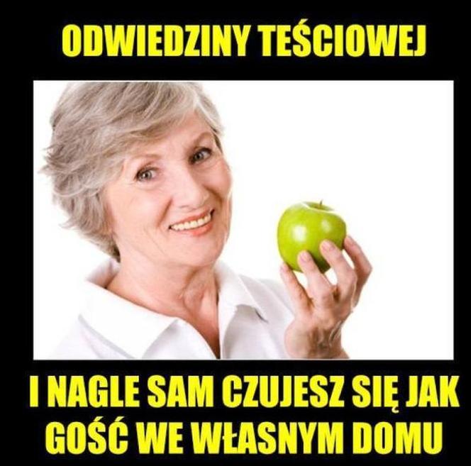 Dzień Teściowej 2021: MEMY. Najlepsze, śmieszne żarty i obrazki o teściowych [ZDJĘCIA]