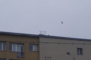 Trzepak na dachu jednego z bloków