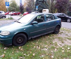 Mistrzowie parkowania w Katowicach ukarani przez Straż Miejską