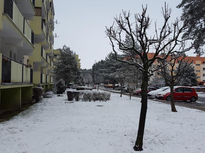 Dziś (19.03.) ostatni dzień zimy. Jutro (20.03.) początek astronomicznej wiosny