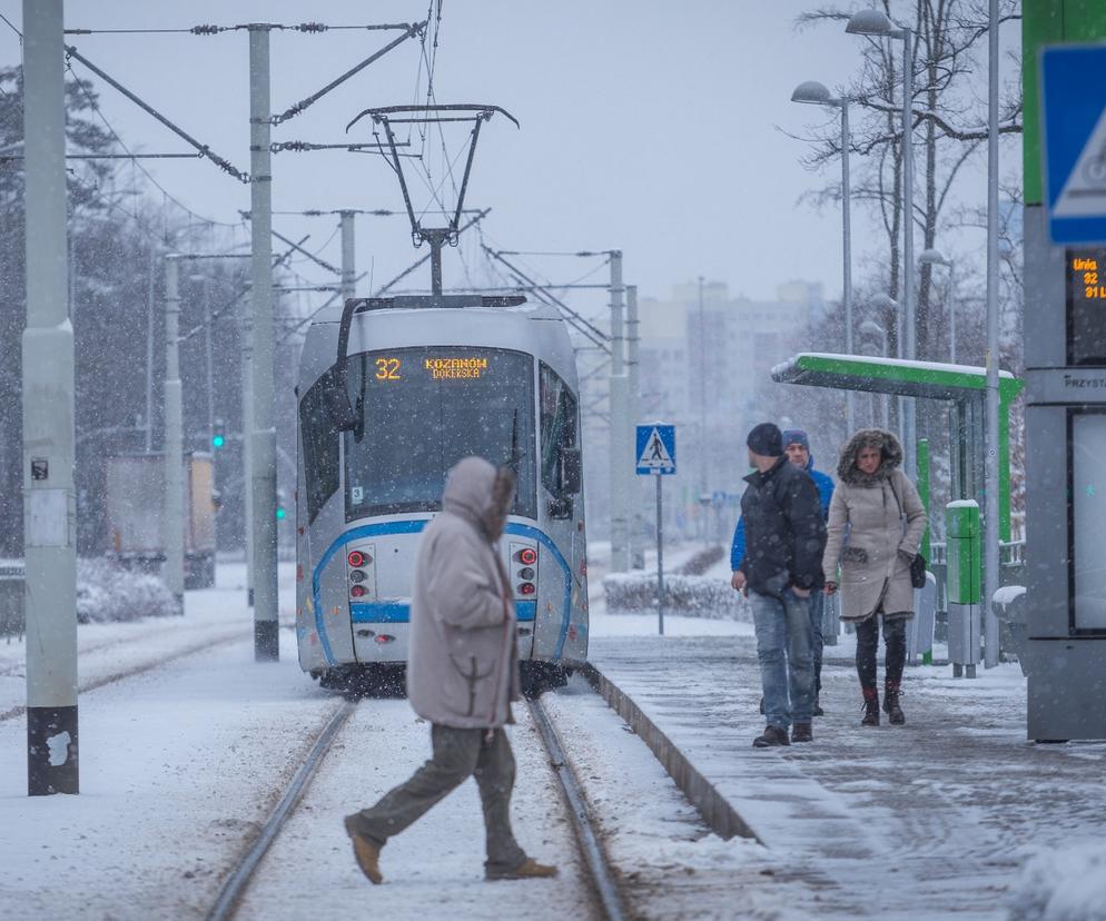 Wrocław. Zima sparaliżuje komunikacje miejską? 