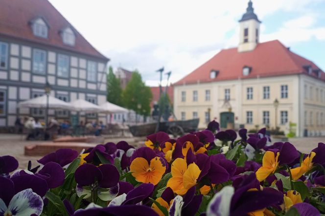 Angermünde