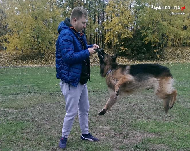 Katowice: Policjantka Kora odeszła na emeryturę. Tropiła dilerów narkotyków