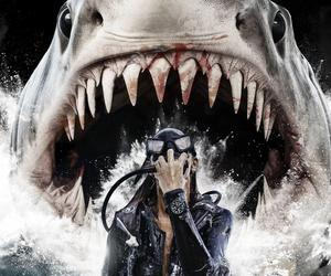 Najpierw kokainowy miś, teraz naćpane rekiny. Ten film rozłoży was na łopatki!