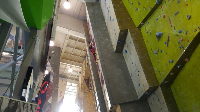Zawody wspinaczkowe w Sosnowcu