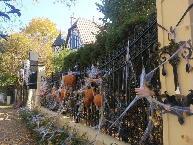 Willa na Jaśkowej Dolinie w Gdańsku znów straszy! Tegoroczny motyw Halloween budzi niepokój
