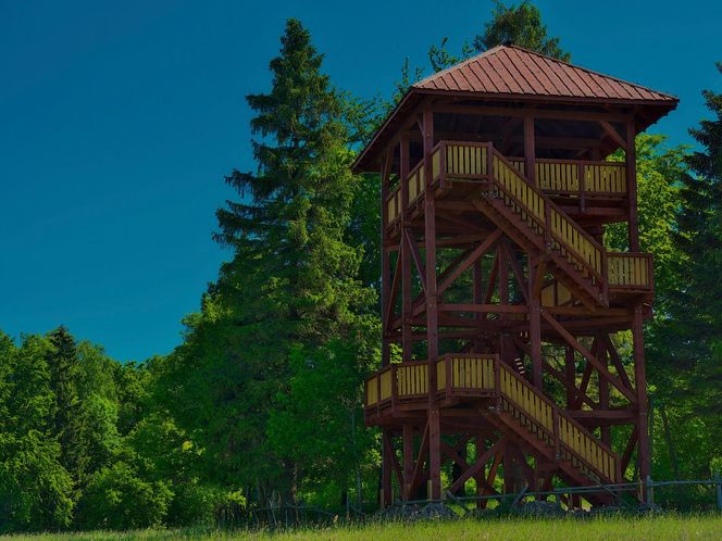 Warmia i Mazury wcale nie są płaskie! Odkryj najwyższą górę regionu i jego tajemnice