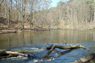Uroczysko Piekło w Borach Tucholskich