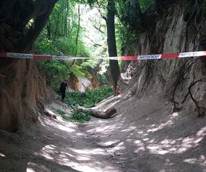 Konar spadł na dzieci. Kazimierski wąwóz zamknięty do odwołania