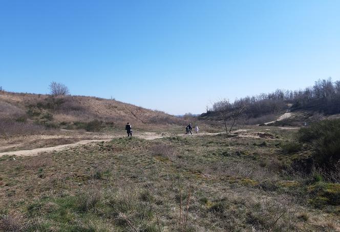 Więc chodź i po… sprzątaj Gorzowskie Murawy. Kiedy?