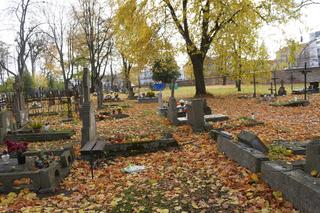 To prawdopodobnie najstarsza aleja drzew w Olsztynie. Znajduje się na cmentarzu [ZDJĘCIA]