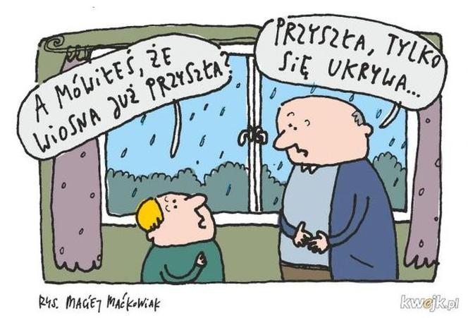 Memy na wiosnę 2023. Te najlepsze obrazki rozbawią Cię do łez!