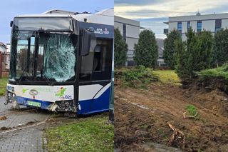 Groźny wypadek autobusu w Krakowie. Pojazd staranował ogrodzenie