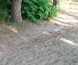 To miejsce idealne na weekendowy wypoczynek. Można dotrzeć tu rowerem!