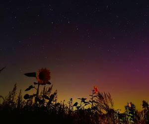 Światowy Dzień Fotografii. Z tych fotek są dumni nasi Czytelnicy! ZOBACZ