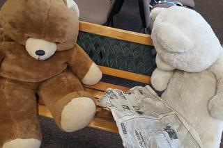 Wystawa pluszaków w Bydgoszczy