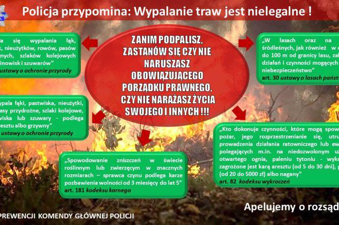 Stop wypalaniu traw 