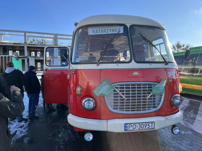 Katarzynki 2023. Prezentacja autobusów w Poznaniu. Zabytkowe autobusy w Poznaniu