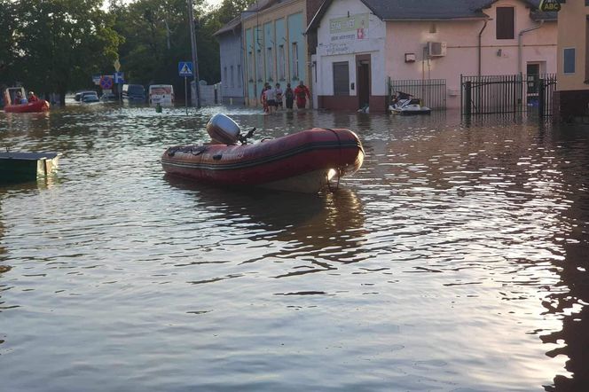 Powódź w Polsce. Są już pierwsze szacunki strat spowodowanych przez wielką wodę. Mowa o miliardach zł!  