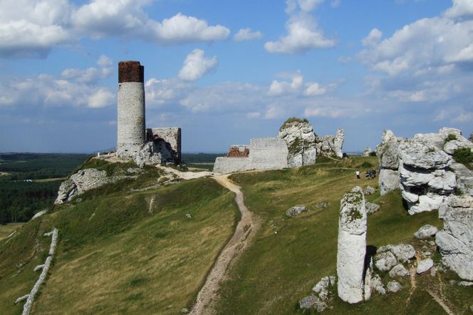 Zestawienie najbardziej opustoszałych miast woj. śląskiego