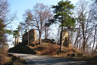 TAJEMNICE zamku w Rożnowie. Nowy gatunek nietoperza w rezydencji bohatera spod Grunwaldu