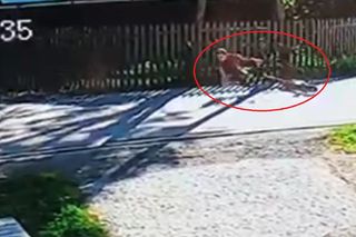 Policja pokazała upadek 11-latka na hulajnodze jako ostrzeżenie. Wideo daje do myślenia