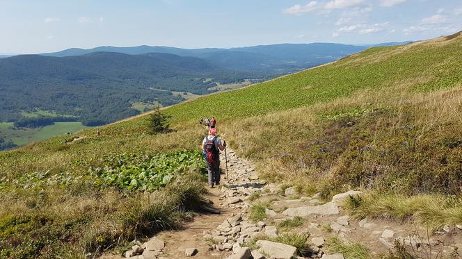 BIESZCZADY: Spory ruch na szlakach. Polacy chętnie wybierają na wypocznek podkarpackie góry [WIDEO, FOTO]	