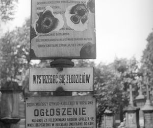 Cmentarze Powązkowskie - 1946-1963