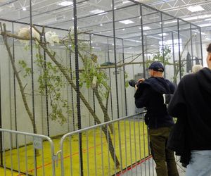 Wystawa Zoologiczna ZOOPARK w Lublinie przyciągnęła tłumy rodzin z dziećmi