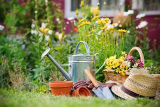 Kalendarz ogrodnika na sierpień - najważniejsze prace, które w sierpniu należy zrobić w ogrodzie