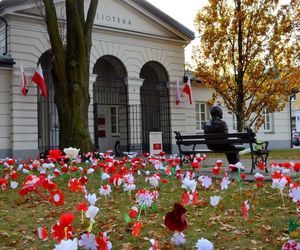 „Patriotyczny ogród” - weź udział w happeningu siedleckiej MBP