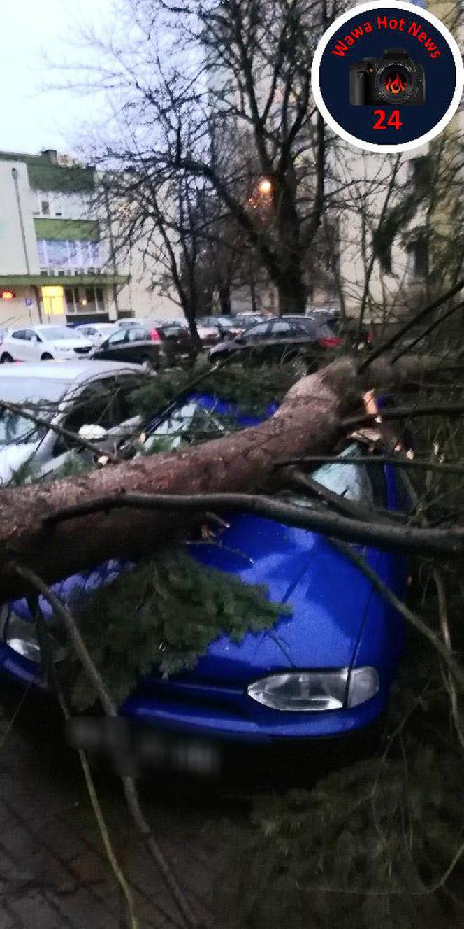 Dudley sieje zniszczenie w Warszawie. Powyrywane drzewa runęły na auta