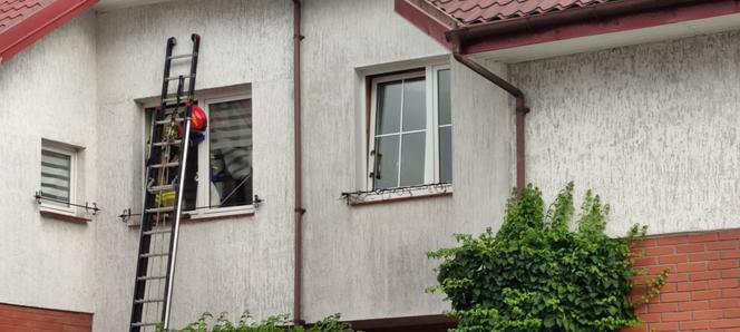 Na ratunek kota było za późno